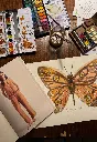 mariposa_2.webp